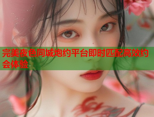 完美夜色同城炮约平台即时匹配高效约会体验