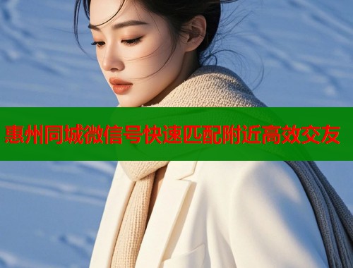 惠州同城微信号快速匹配附近高效交友